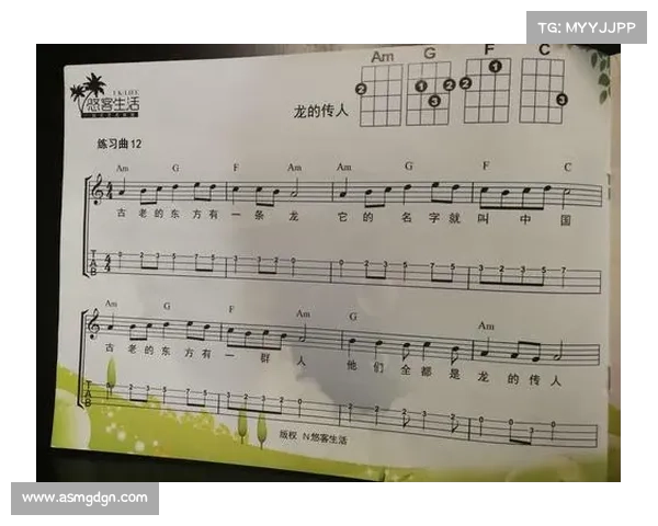 《龙的传人》技能加点五大技巧解析与实战运用分享