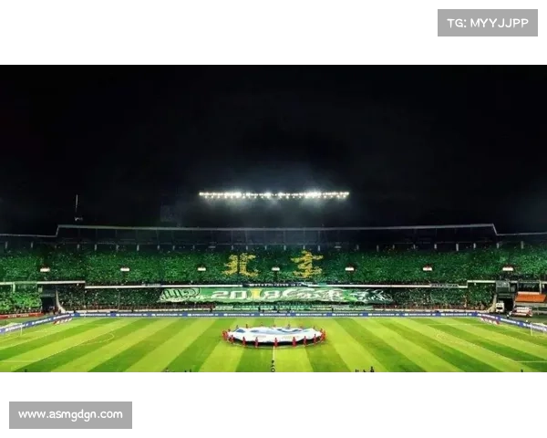 拜仁慕尼黑主场安联球场令人惊叹的十大独特魅力盘点