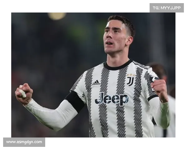 弗拉霍维奇四场连结进球背后故事揭秘从困难到辉煌的成长之路 弗拉霍维奇四场连结进球背后故事揭秘从困难到辉煌的成长之路