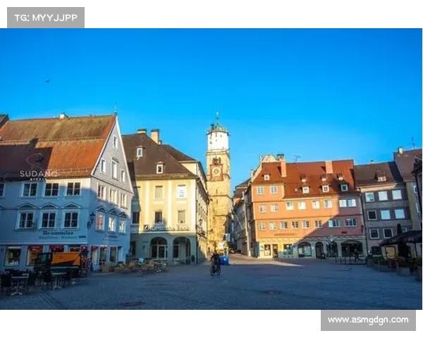 德国足球派别与竞争格局深度分析与发展趋势探讨 德国足球派别与竞争格局深度分析与发展趋势探讨