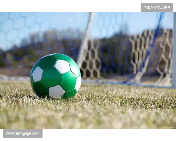 捷克门将实力推荐 五位顶级球员引领未来足球赛场